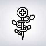 Medicina Alternativa